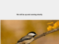 canongurl.com
