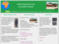monze.com