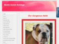 myallaaussiebulldogs.net