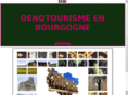 oenotourismeenbourgogne.com