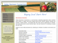 valleybusinessconnections.com