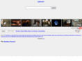 ddirector.com