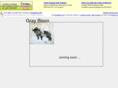 graybison.com