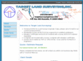 targetlandsurveying.com