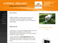 animalimagesjax.com
