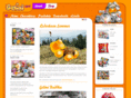 gelini.com