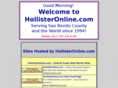 hollisteronline.com