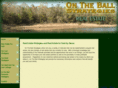 ontheballstrategies.net