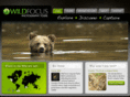 wildfocus.com
