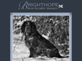 brighthopekennels.com