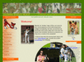 coloradobasenjirescue.org