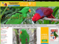 electus-parrot.com