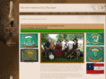 irishvolunteers.net
