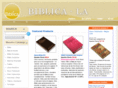 sbi-stl.com