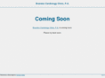 brandoncardiology.com