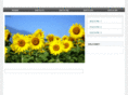 decoration-hanbai.net