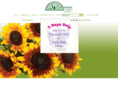 georgetownflowers.com