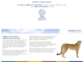 innovestsystems.com