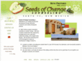 seedsofchangecounseling.com