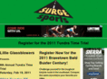 surgesports.com