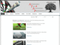 affordabletaxprofessionals.com