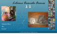 aranedapaintings.com