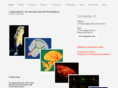 circuitformation.com