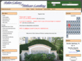 palmcolonyatpelicanlanding.com