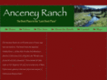 anceneyranch.com