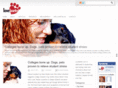 lovebarks.com
