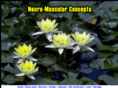 neuromuscularconcepts.com