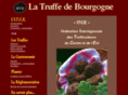 truffe-de-bourgogne.com