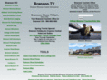 brandson.com