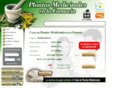 cursoplantasmedicinales.com