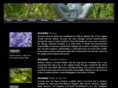 accentsalon.com