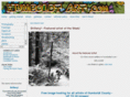 humboldtart.com