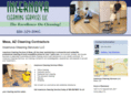 insernovacleaning.com