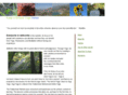 keepitsimpleyoga.com