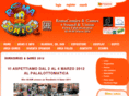 romacomicsandgames.com