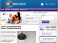 cloviscarpetcleaning.net