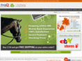 easyqstore.com
