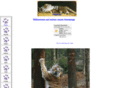 tigerwelt.org