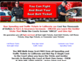 fightandbeatseatbeltticket.com