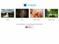 luppinophotography.net