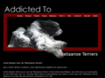 addicted-to.com