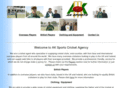 ak-sports.com