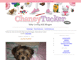 chaneytucker.com