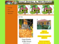 coquisnacks.biz