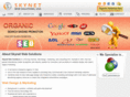 skynetwebsolutionsusa.com