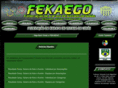 fekaego.com.br